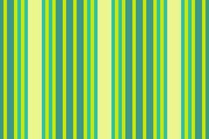 Fabric pattern seamless of stripe texture vector with a background textile lines vertical.