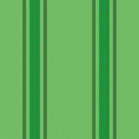 Textile stripe vector of background fabric pattern with a texture lines seamless vertical.