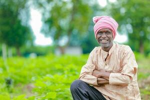 Farmer holding a cotton tree in a cotton field, cotton tree, holding Leaf in India photo