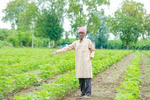 Indian farmer showing cotton tree in cotton farm , happy farmer photo