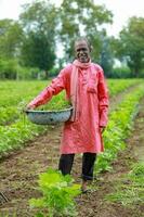 Indian happy farm worker , working in farm photo