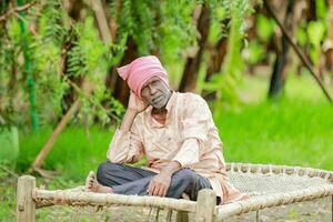 happy indian farmer. banana plant, old poor farmer , worker photo