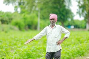 Indian farmer showing cotton tree in cotton farm , happy farmer photo
