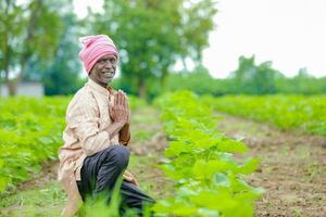 Indian farmer showing cotton tree in cotton farm , happy farmer photo