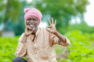 granjero participación un algodón árbol en un algodón campo, algodón árbol, participación hoja en India foto