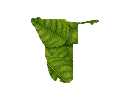 Namibia mapa hecho de verde hojas ecología concepto png