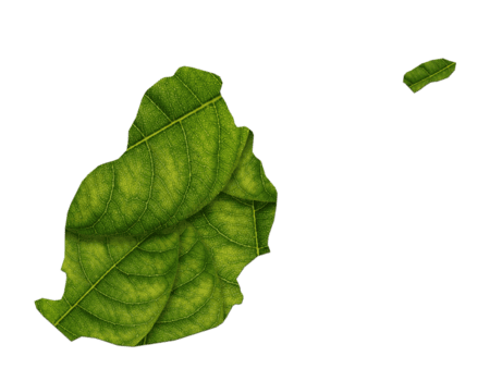 Mauricio mapa hecho de verde hojas ecología concepto png