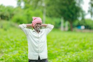 Indian farmer showing cotton tree in cotton farm , happy farmer photo