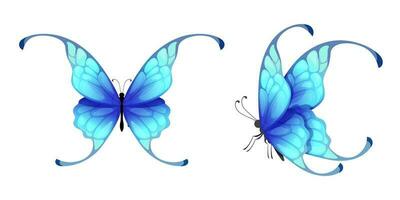 hermosa azul mariposas vector aislado en blanco antecedentes.