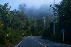 The road in the forest on the way up to the northern hills between the trees and signs. photo