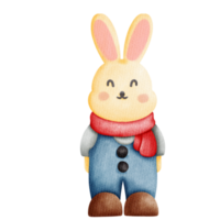 Happy rabbit character png