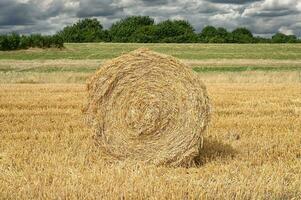 Straw Bale while harvest in Rhineland,Germany photo