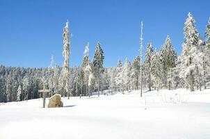 Winter in Bavarian Forest at Bretterschachten,Arber Mountain region,Bavaria,Germany photo