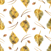 geel herfst berk bladeren met pijnboom naalden. waterverf illustratie hand- getrokken. Woud naadloos patroon png