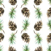 Pine branches and cones. Watercolor illustration hand drawn. Seamless pattern forest, summer, autumn png