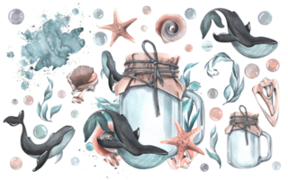 A glass jar with whales, seashells, algae, bubbles, spot, splashes and a starfish. Watercolor illustration hand drawn. Isolated composition with elements png