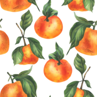 orange mandariner med grön gren och löv, citrus- tropisk frukt. vattenfärg illustration, hand ritade. sömlös mönster png