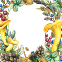 bosque comestible cuerda hongos con arándanos, arándanos, conos, leña menuda y musgo. acuarela ilustración, mano dibujado. marco png