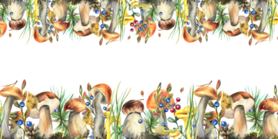 floresta cogumelos, boleto, chanterelles e amoras, mirtilos, galhos, cones, folhas. aguarela ilustração, mão desenhado borda modelo png