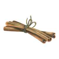 Cinnamon sticks tied with a jute rope with a bow. Watercolor illustration, hand drawn. Isolated object png