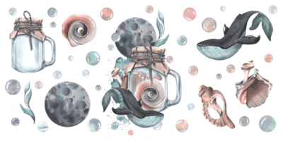 A glass jar with whale, seashells, algae, bubbles and a moon. Watercolor illustration hand drawn. Set of isolated elements png