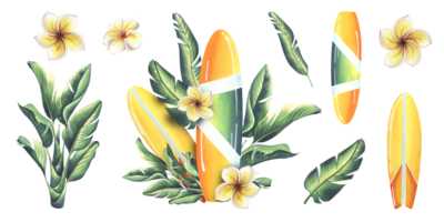 Surfboard in yellow and green with stripes with tropical leaves and plumeria flowers. Watercolor illustration hand drawn. Set of isolated elements stickers png