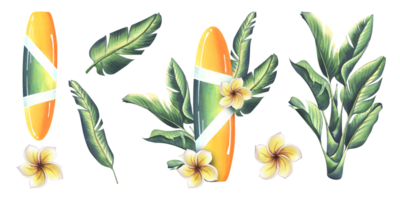 Surfboard in yellow and green with stripes with tropical leaves and frangipani flowers. Watercolor illustration hand drawn. Set of isolated elements png
