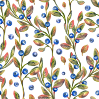 Forest autumn blueberries with leaves. Illustration hand drawn with watercolor crayons. Seamless pattern png