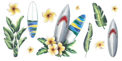 Surfboards with shark and striped print with frangipani flowers and tropical leaves. Watercolor illustration hand drawn. Set of isolated elements png