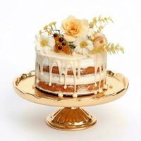 Elegant cake isolated photo