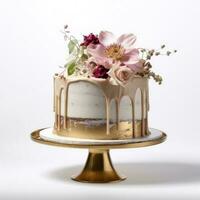 Elegant cake isolated photo