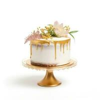 Elegant cake isolated photo