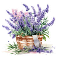Watercolor lavender flower bouquet isolated png