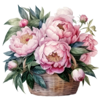 Watercolor peony flower bouquet png