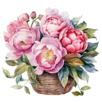 Aquarell Pfingstrose Blume Strauß png