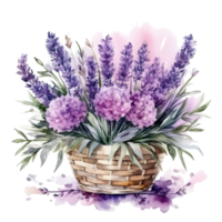waterverf lavendel bloem boeket geïsoleerd png