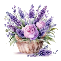 Watercolor lavender flower bouquet isolated png