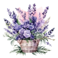 aquarelle lavande fleur bouquet isolé png