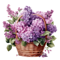 Watercolor lilac flowers bouquet isolated png