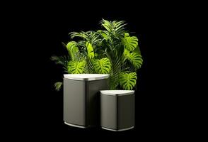 Futuristic marble countertops and grey color table surfaces on black background and plants. 3d renderFuturistic marble countertops and grey color table surfaces on black background and plants photo