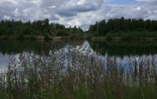 dramatic sunrise over the calm river in spring with bent grass against sun. Daugava, Latvia photo