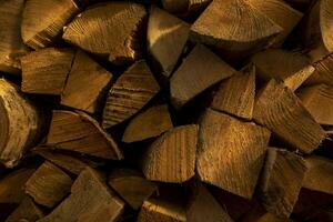 Log spruce trunks pile. Sawn trees from the forest. Logging timber wood industry. Cut trees along a road prepared for removal. photo