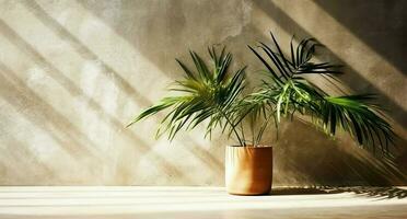 Brown cement wall and floor, palm tree in vase in a sunlight, long shadow for luxury interior design decoration, product display background, photo