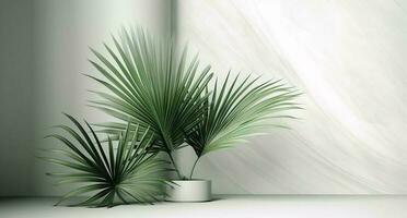 Blank clean polished gray wall and floor, green palm tree in white pot in dappled sunlight, shadow for luxury interior design decoration, product display background photo