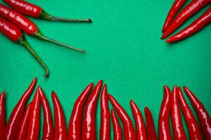 Spicy red chili on green background photo