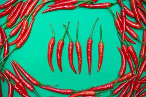 Spicy red chili on green background photo