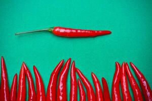 Spicy red chili on green background photo