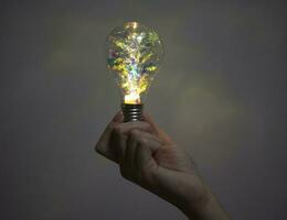 A new creative idea. A woman is holding a light bulb. photo