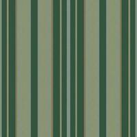 Vertical lines stripe pattern. Vector stripes background fabric texture. Geometric striped line seamless abstract design.