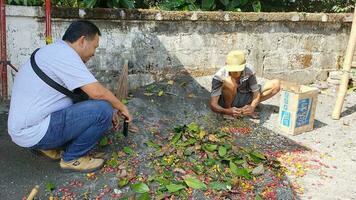 Two men are sorting the harvest of Gnetum gnemon or melinjo fruit in Indonesian and putting them into boxes. Melinjo fruit can be processed into chips photo